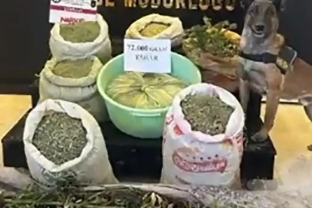 Hakkari'de uyuşturucu operasyonu: 1 gözaltı