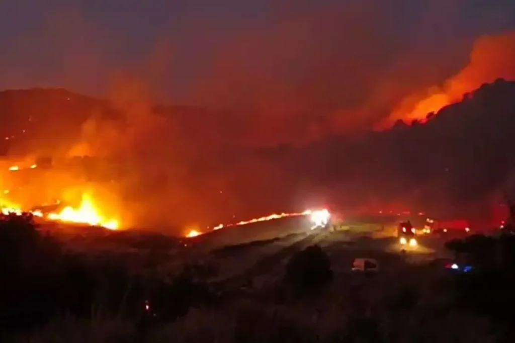 İzmir'de orman yangını