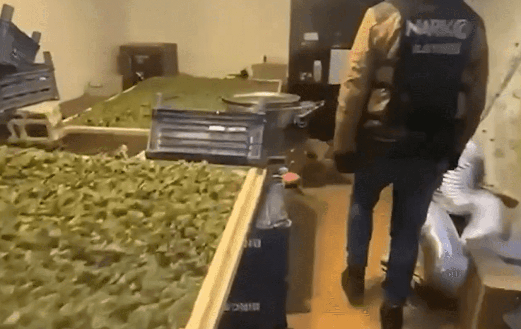 65 İlde Dev Uyuşturucu Operasyonu: 354,5 Kilo Uyuşturucu ve 647 Bin Hap Ele Geçirildi